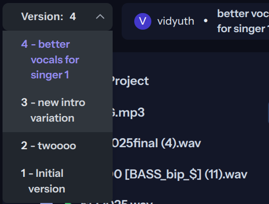 Version control interface