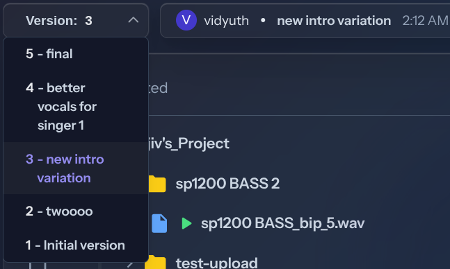 Version control interface